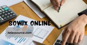 Understanding Sowix Online