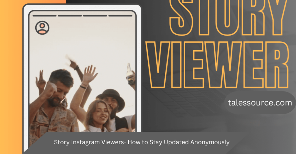 story viewer instagram