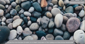 stones from the riverbed clintasha