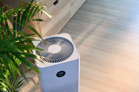  How to Maintain Your Air Purifier for Optimal Performance